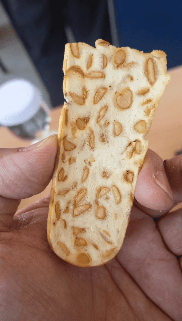 Close-up of SoyaMaya Tempeh Protein Chip showing crispy texture and nutty flavor.