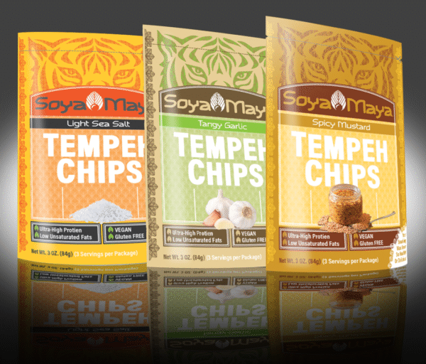 Tempeh Protein Chips