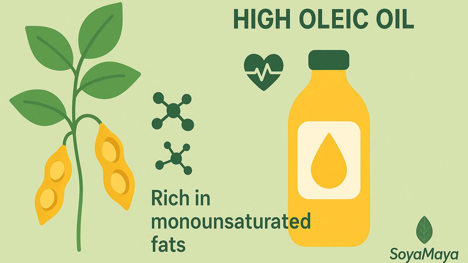 “Healthier frying oil with monounsaturated fats”