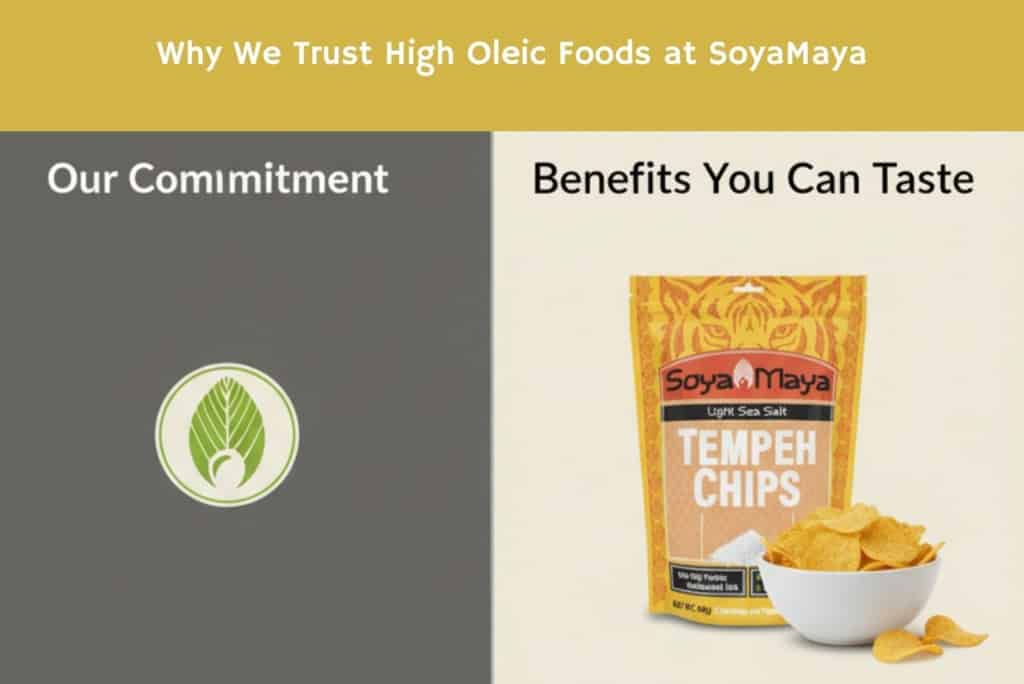 Organic Soya Maya Tempeh Chips, healthy plant-based snack rich in probiotics.