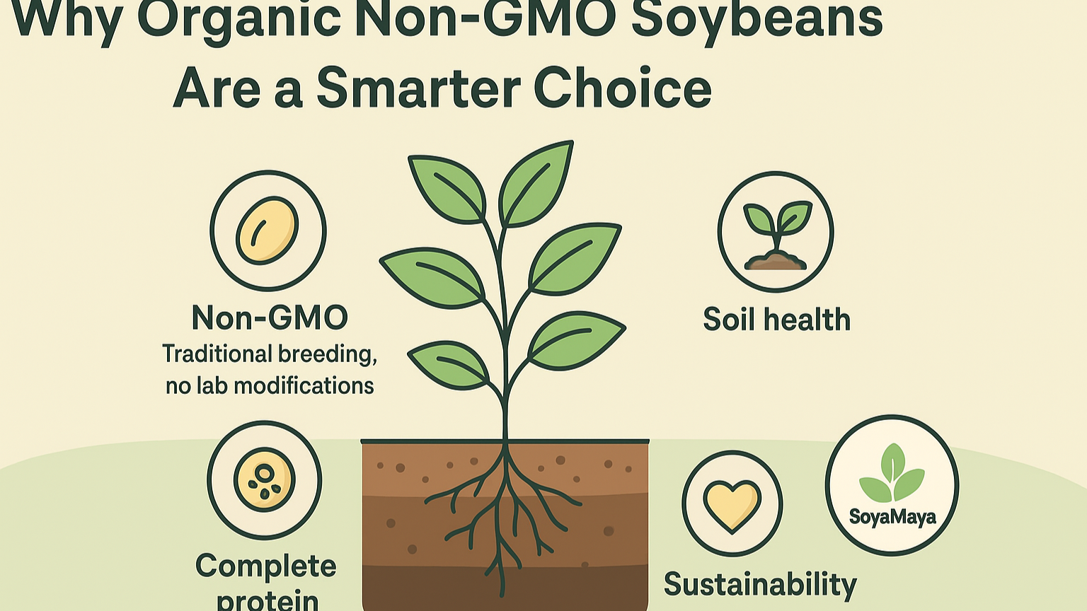“[Why Organic Non-GMO Soybeans Are a Smarter Choice]: Informative illustration detailing the reasons why organic, non-GMO soybeans are a better choice.”