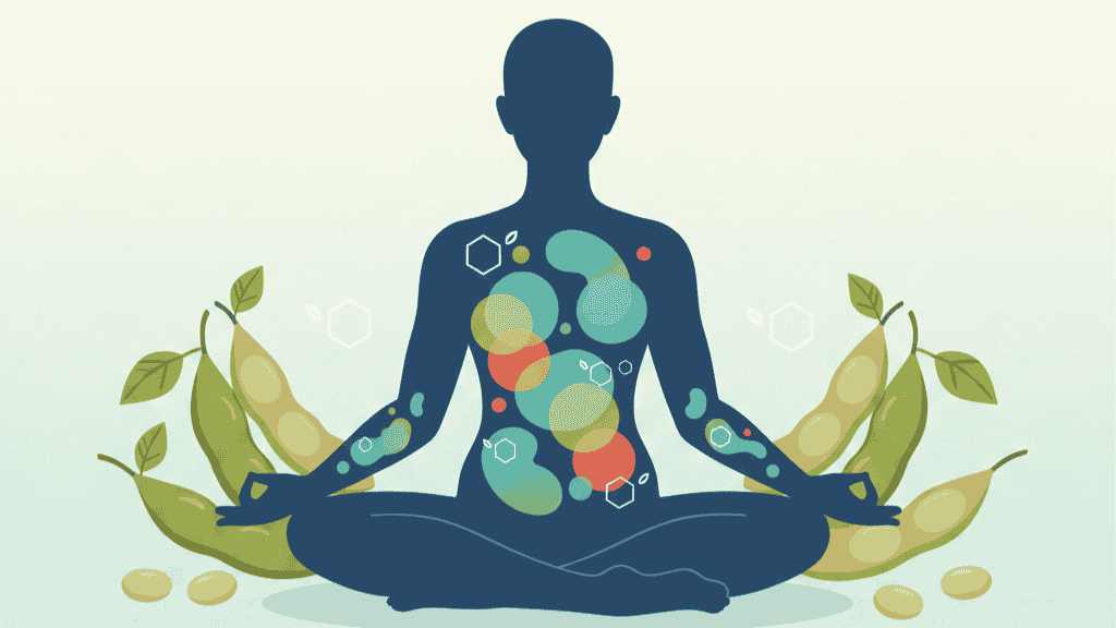 A simplified skeletal structure focusing on strong bones, paired with organic soybeans floating nearby as a nutritional source.