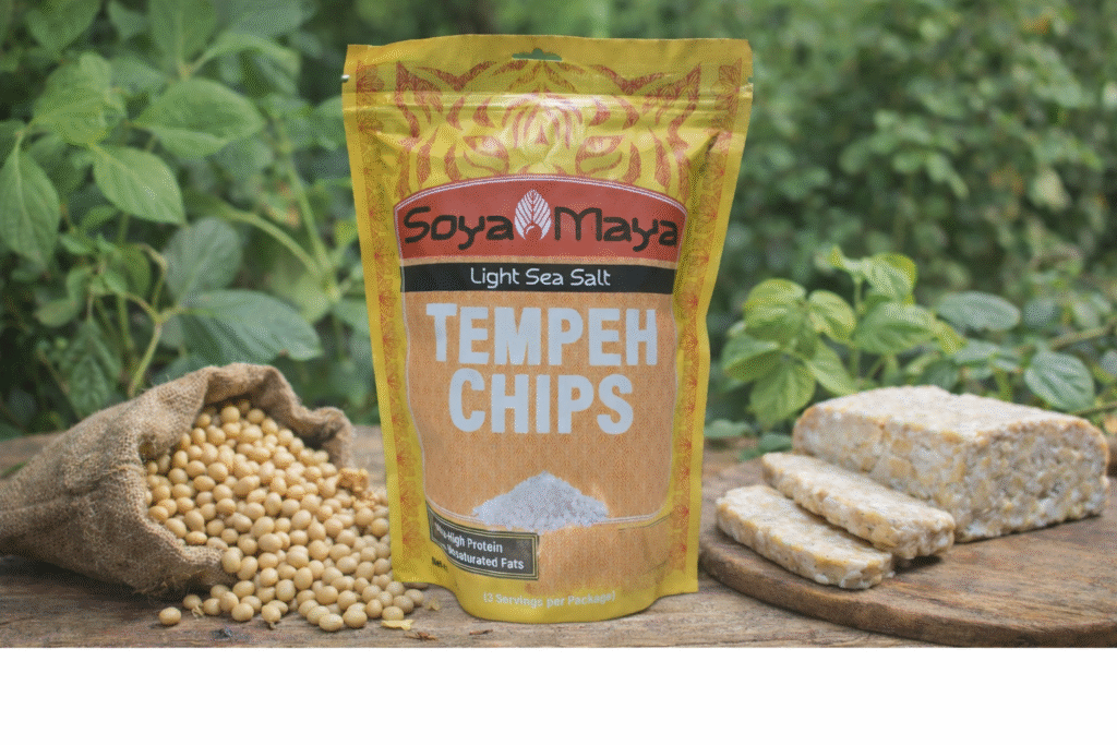 Tempeh chips with soybeans and fresh tempeh blocks, highlighting the benefits of unpasteurized tempeh through whole food nutrition
