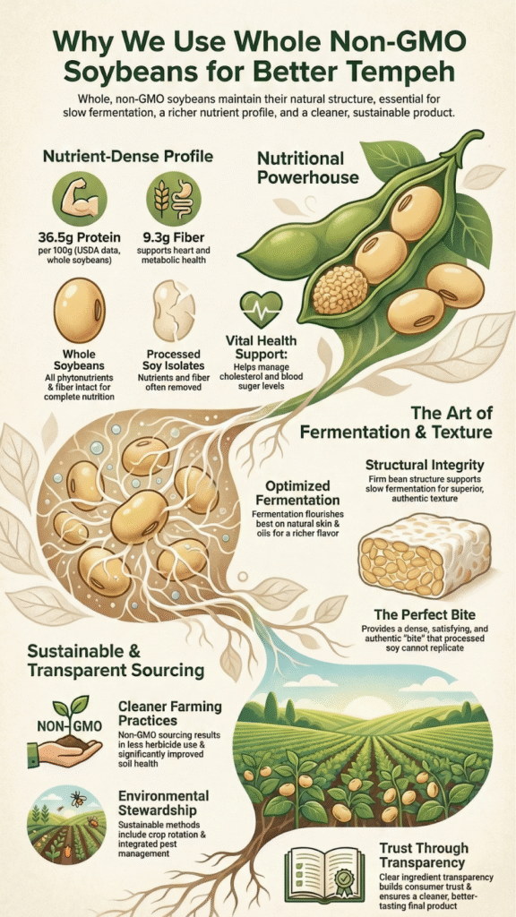  Infographic explaining why we use whole non-gmo soybeans covering nutrition, fermentation, texture, and sustainable sourcing
