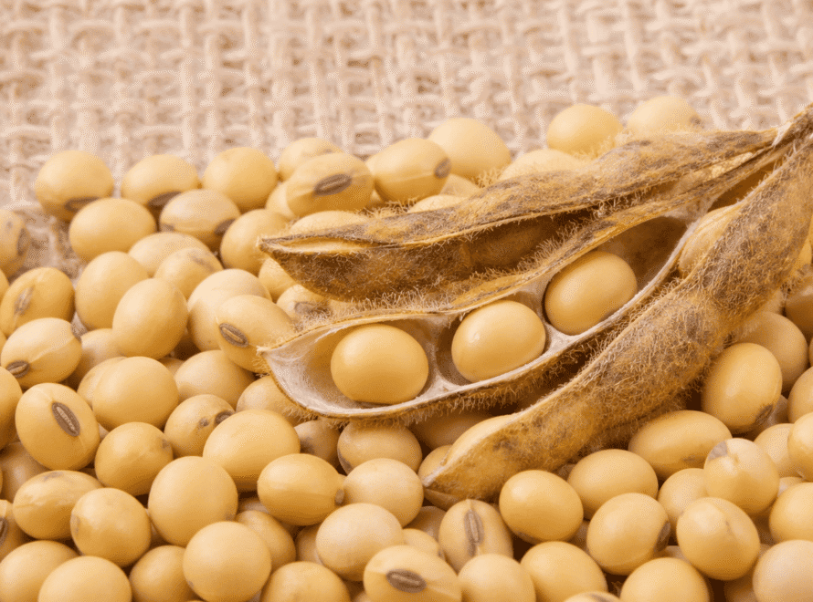 Dried soybeans with open pod on burlap, a guide on how to verify Non-GMO ingredient starts at the source