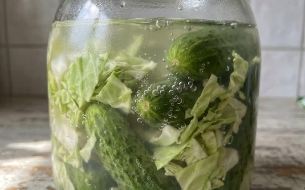 Fermentation jar with cucumbers and cabbage for Soya Maya process.